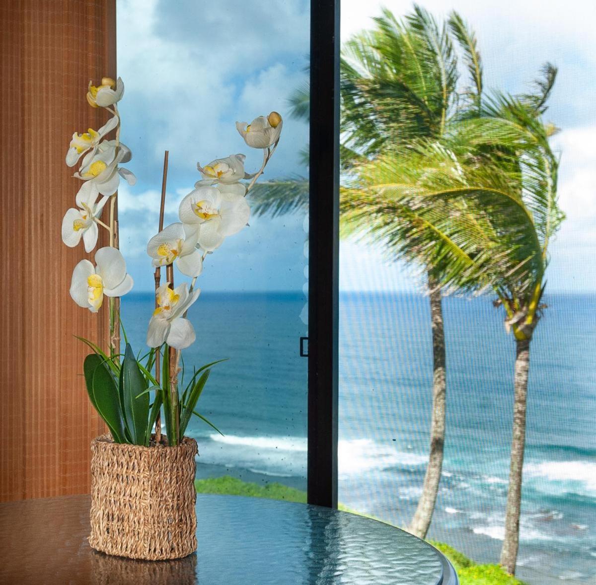 Sealodge D7 Princeville Luaran gambar